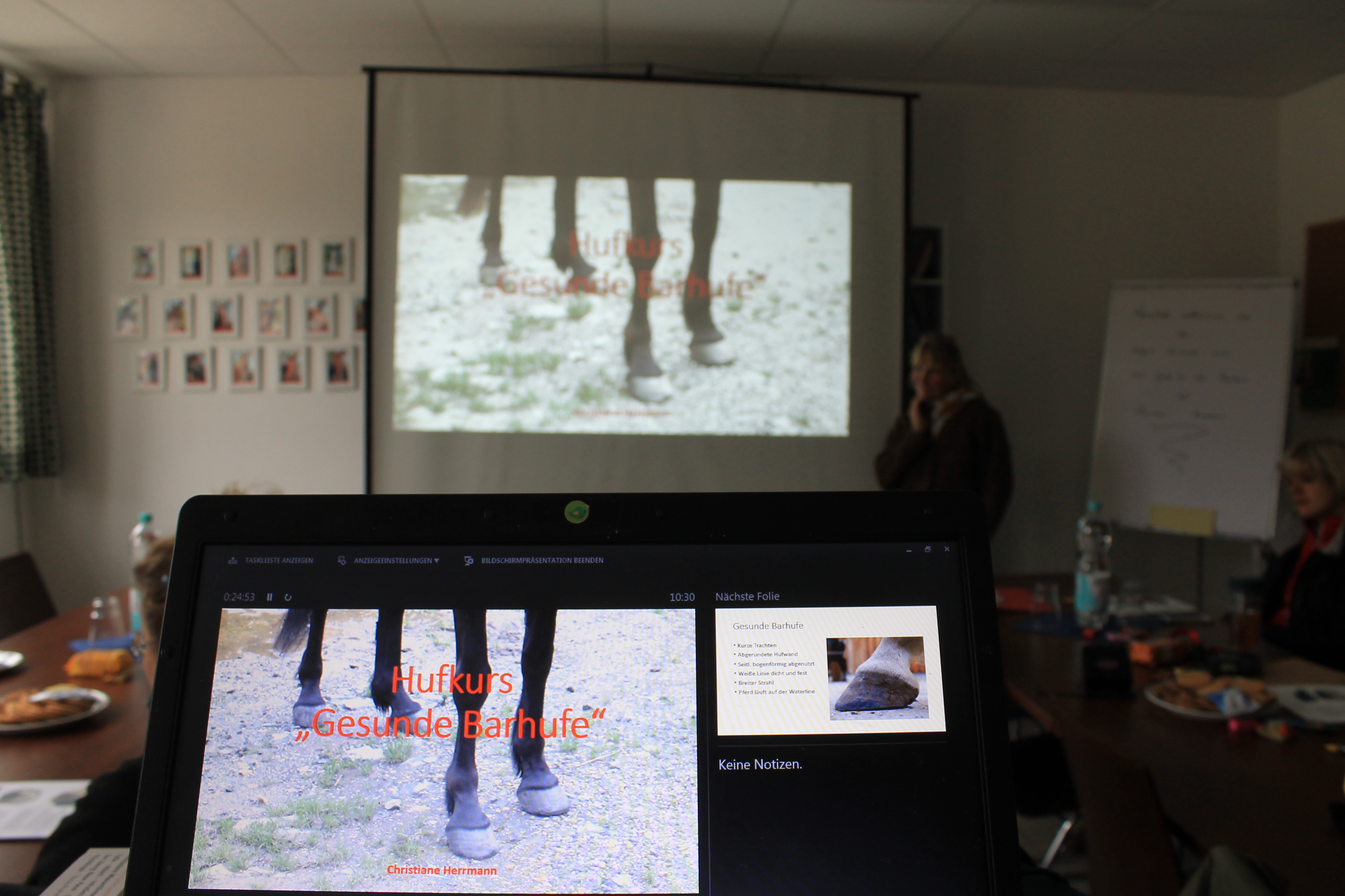 myFreedm Präsenz-Hufkurse