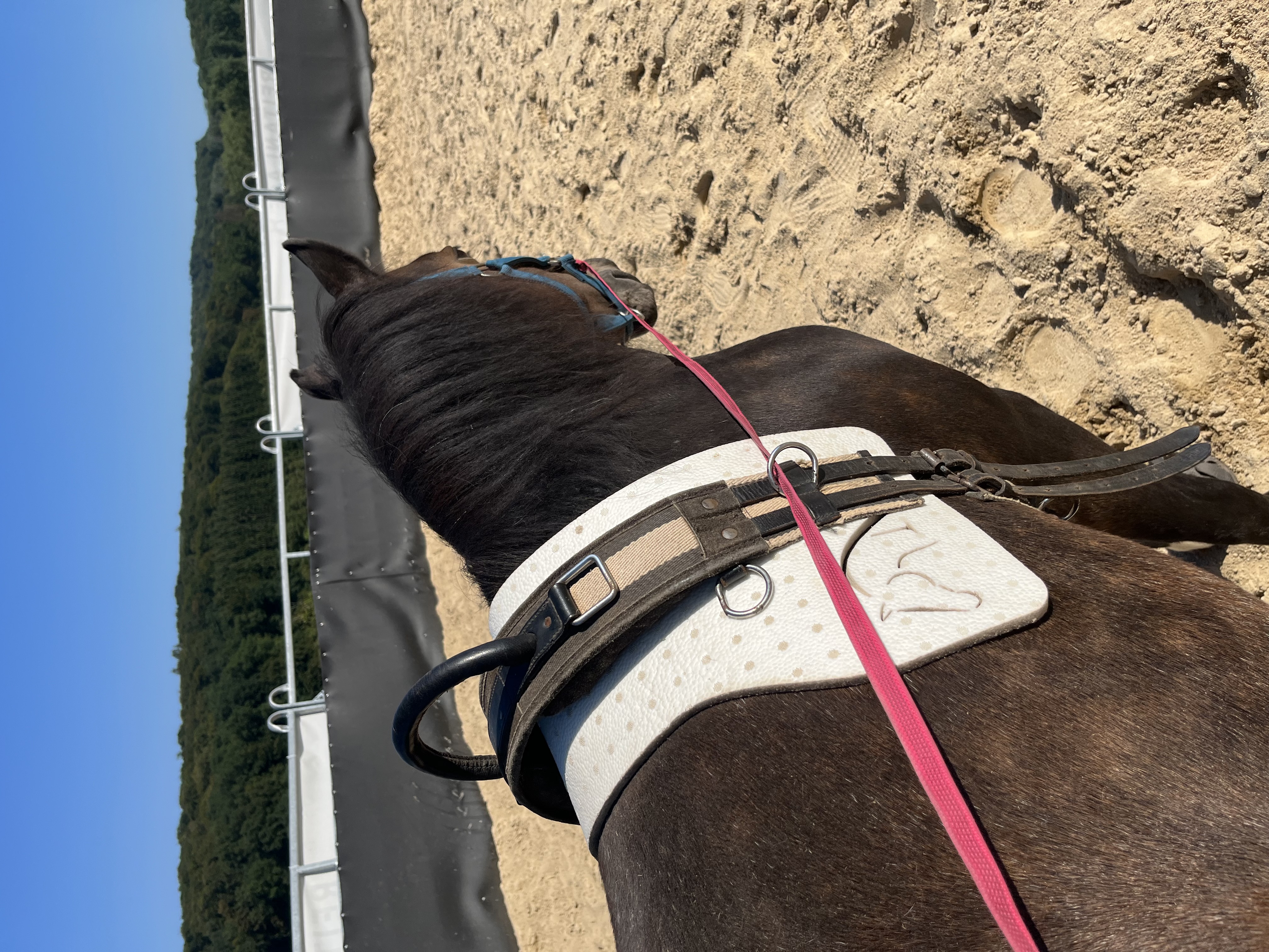 myFreedm® Longier-Unterlage / Selett-Unterlage myFreedm® Longier-Unterlage / Selett-Unterlage