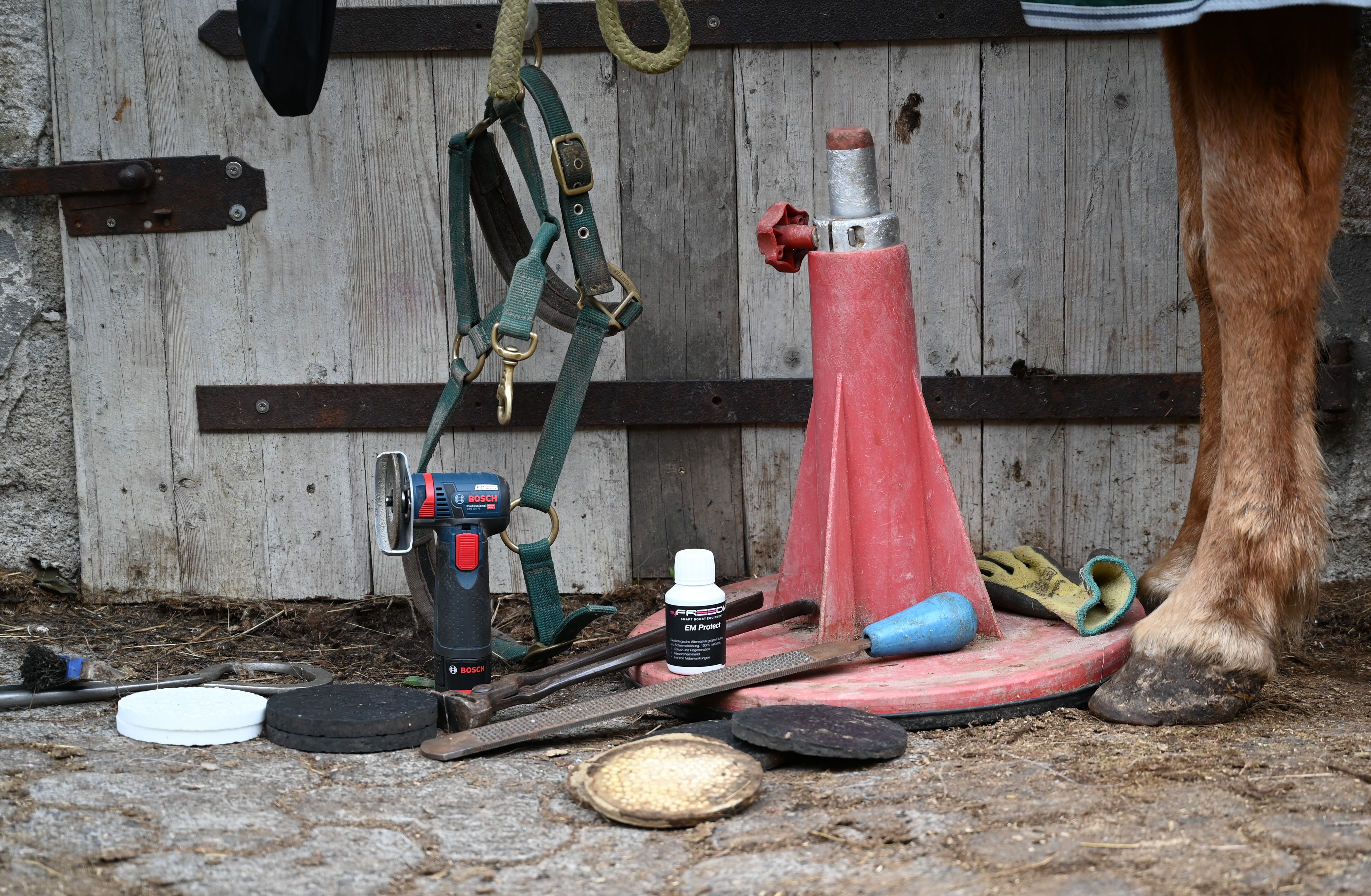 myFreedm Präsenz-Hufkurse