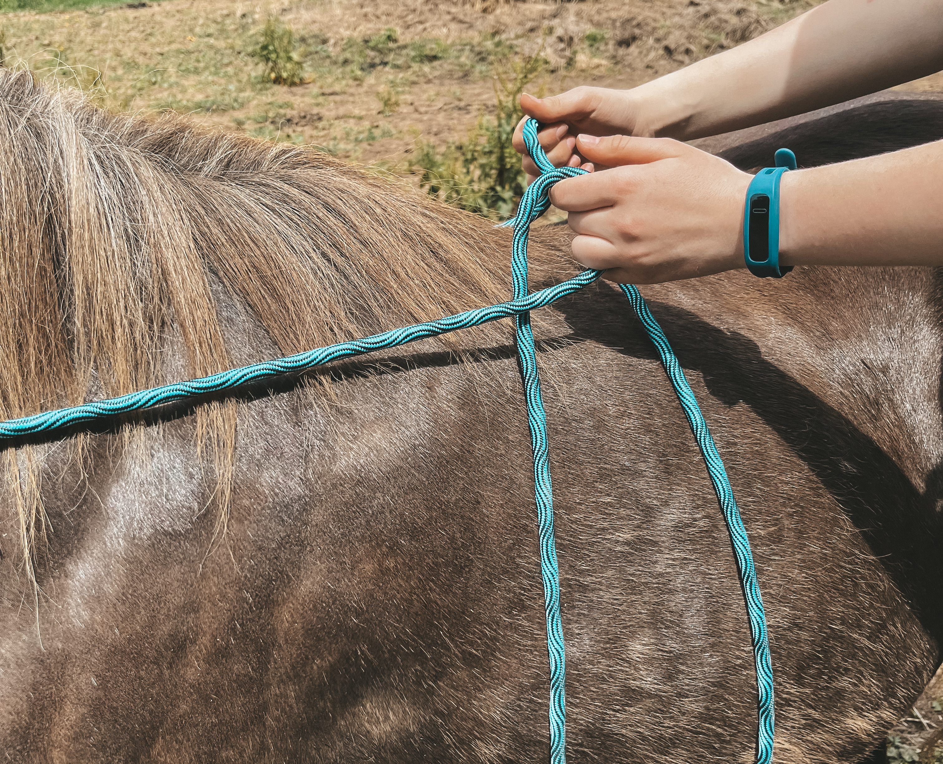 LIMITED EDITION Pony Langzügel "blue wave" 